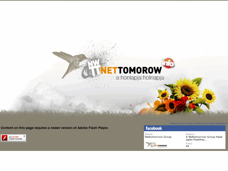 www.nettomorrow.hu