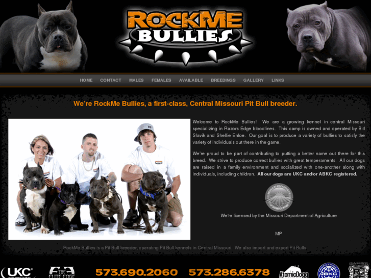 www.rockmebullies.com