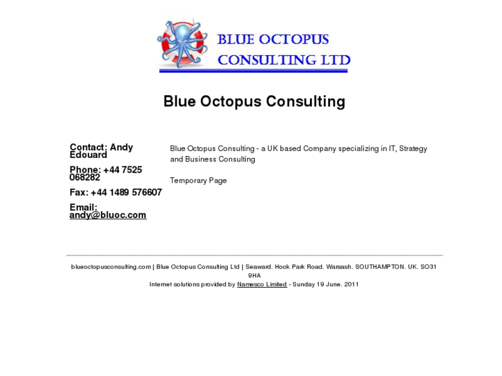 www.blueoctopusconsulting.com