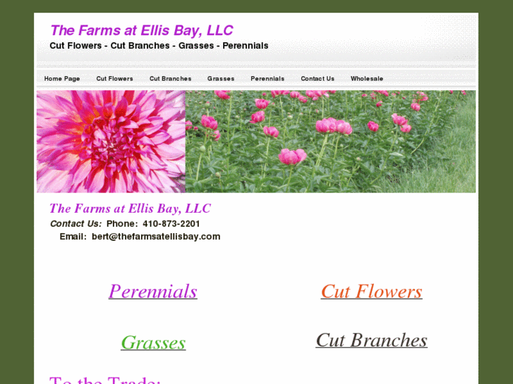 www.farmatellisbay.com