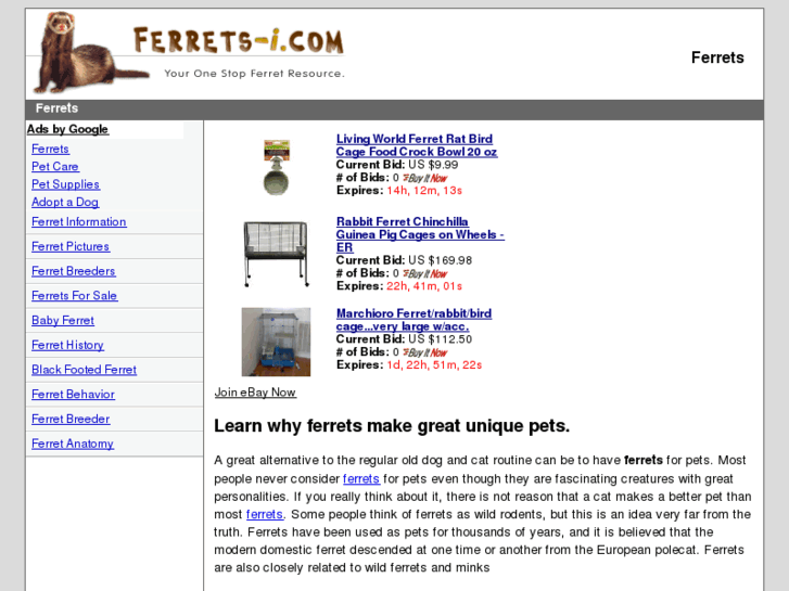 www.ferrets-i.com