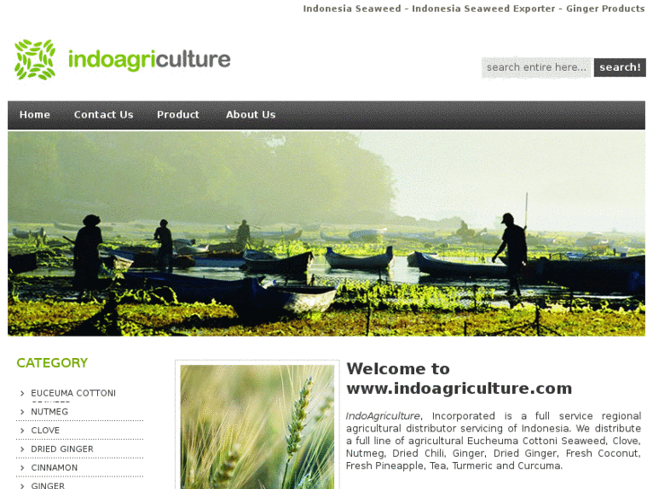 www.indoagriculture.com