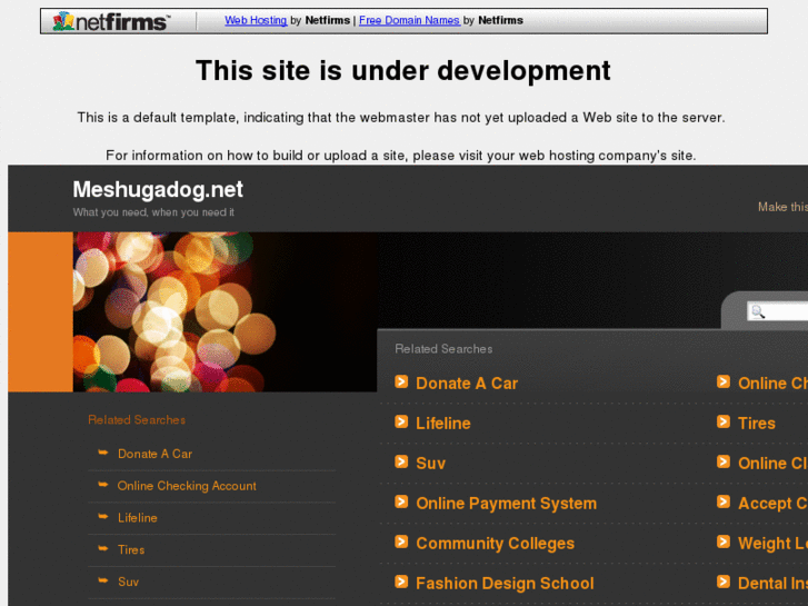 www.meshugadog.net