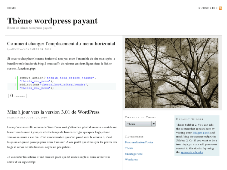 www.theme-wordpress.org