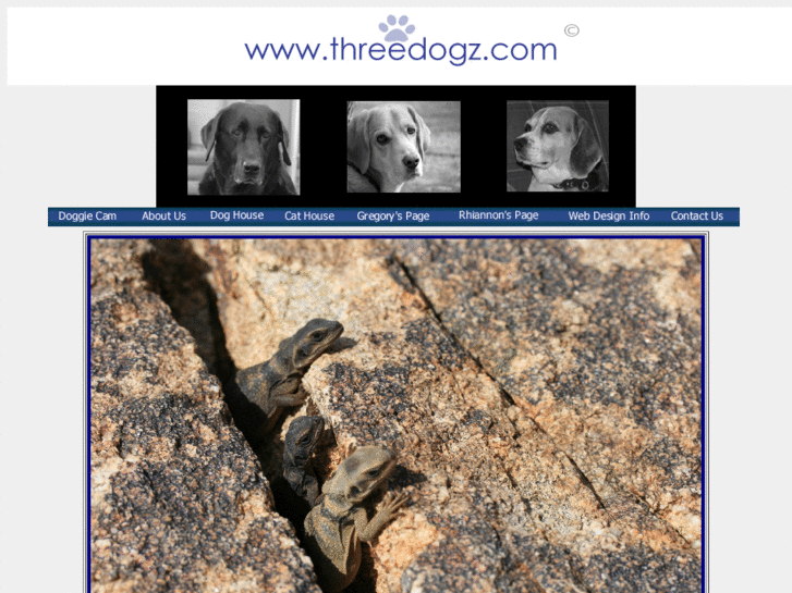 www.threedogz.com