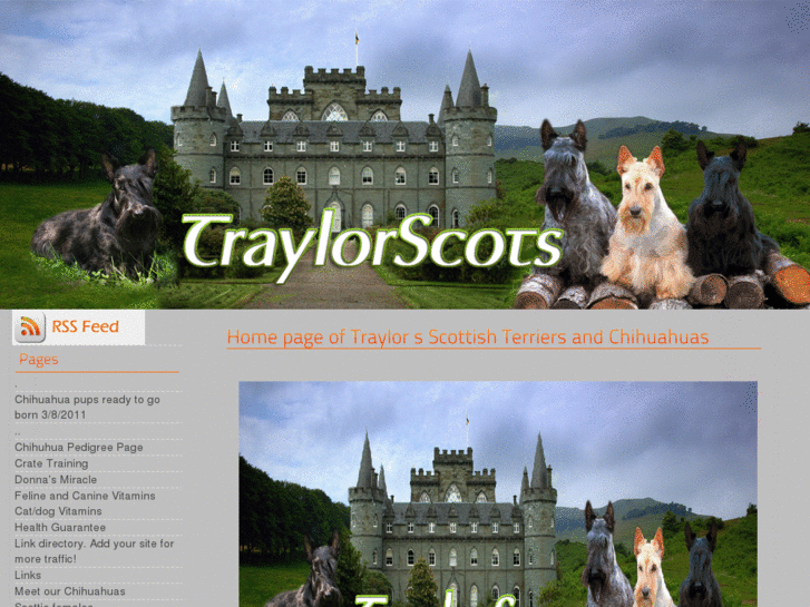 www.traylorscots.com