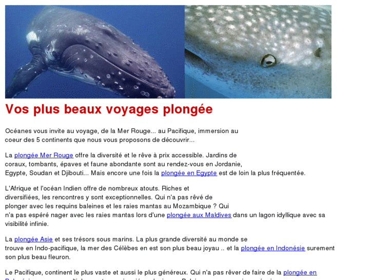 www.vos-plus-beaux-voyages-plongee.com