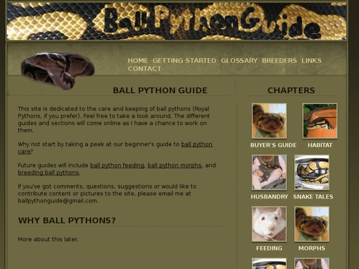 www.ballpythonguide.com