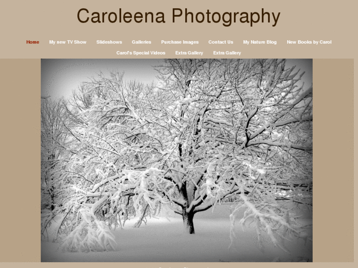 www.caroleenaphotography.com