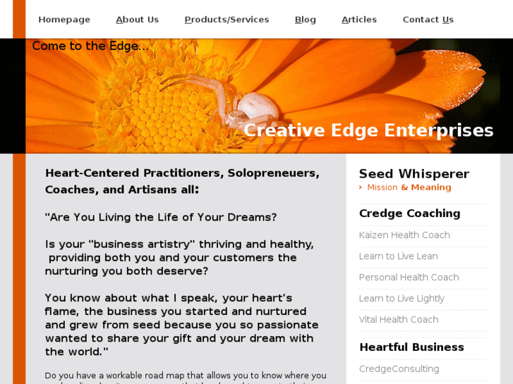 www.creativeedgeenterprises.com