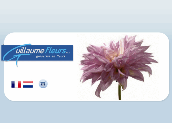 www.guillaumefleurs.nl