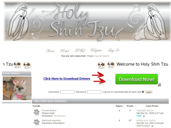 www.holyshihtzuforum.com