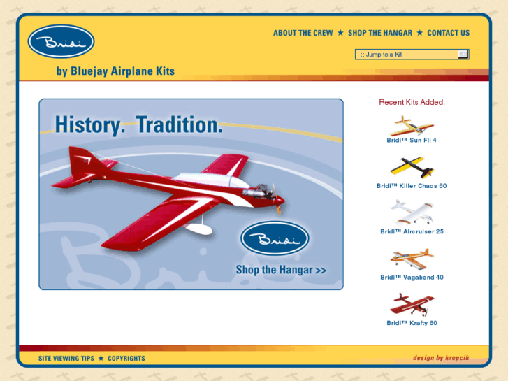 www.bridiairplanes.com