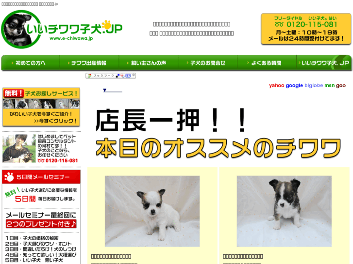 www.e-chiwawa.jp