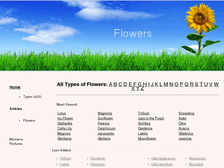 www.flowers-org.com