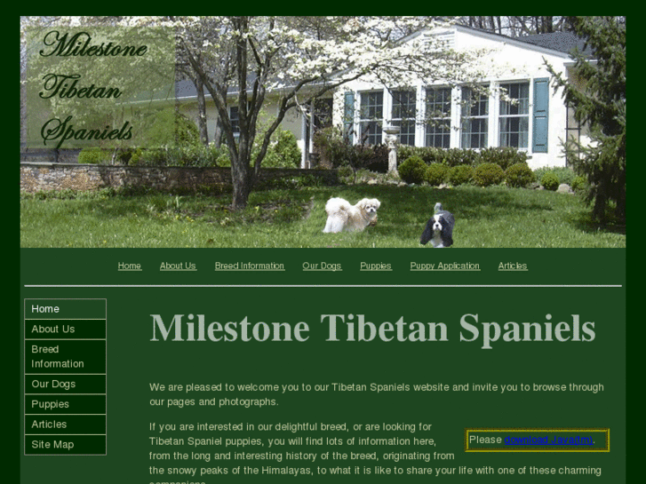 www.milestonetibetanspaniels.com