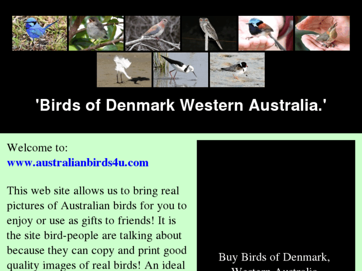 www.australianbirds4u.com