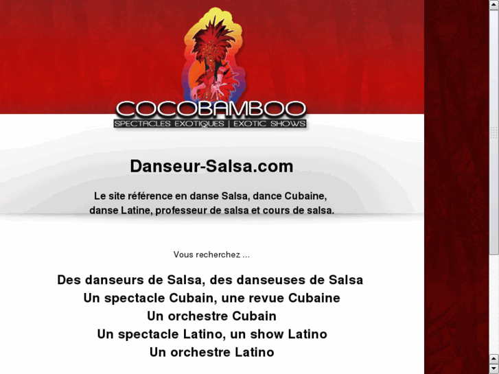 www.danseur-salsa.com