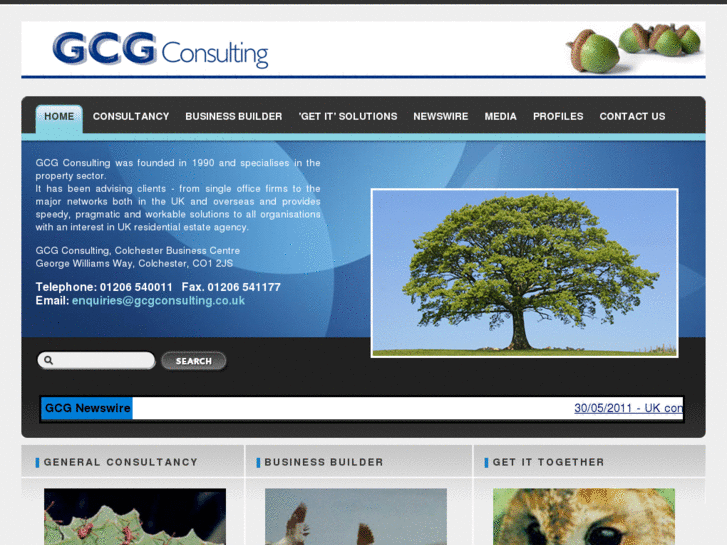 www.gcgconsulting.co.uk