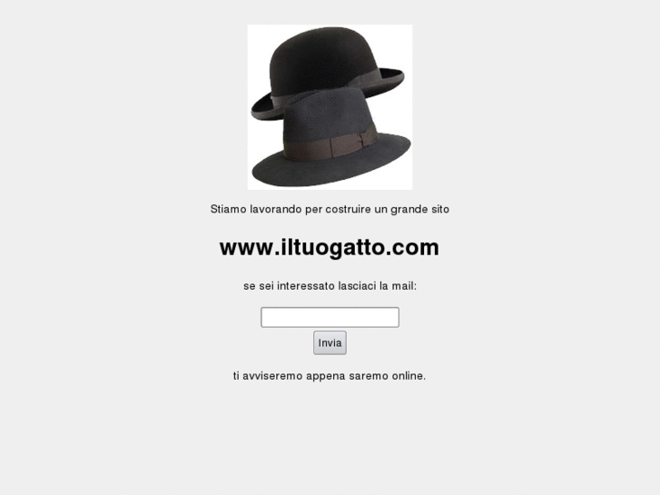 www.iltuogatto.com