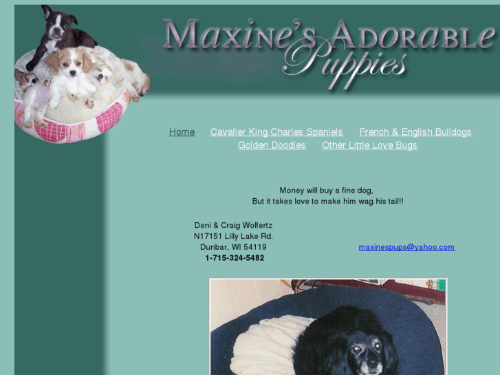 www.maxinesadorablepuppies.com