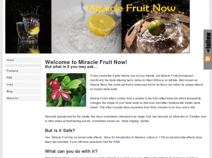 www.miraclefruitnow.com