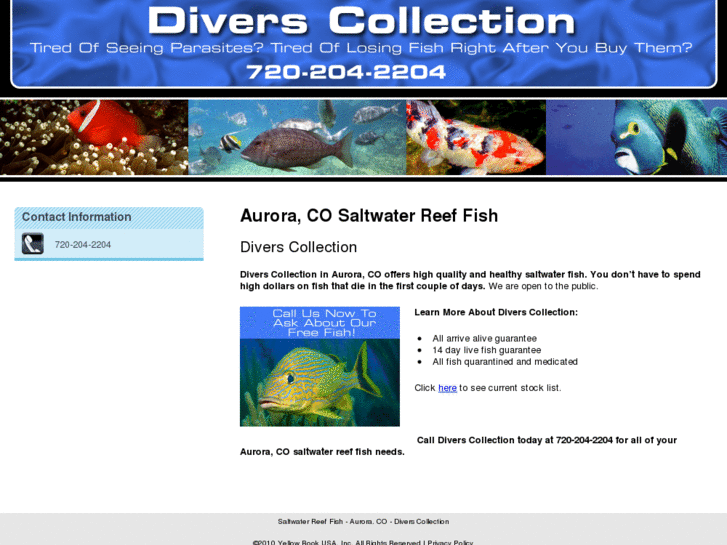 www.saltwaterfishdenvercolorado.com