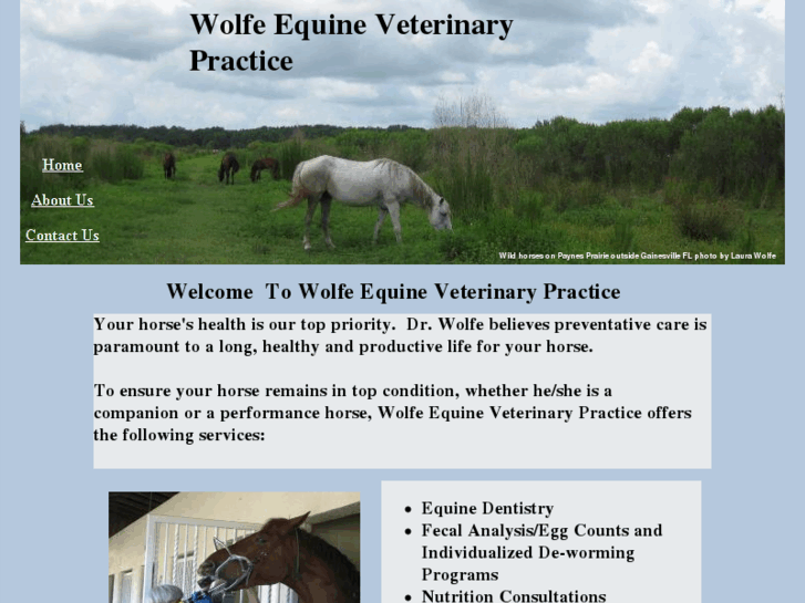 www.wolfeequine.com