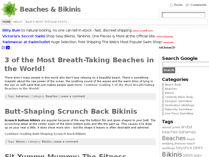 www.beachesandbikinis.com