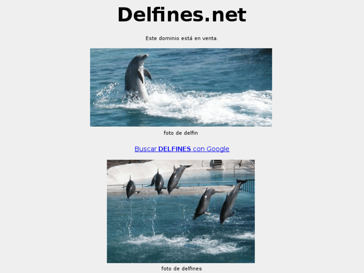 www.delfines.net