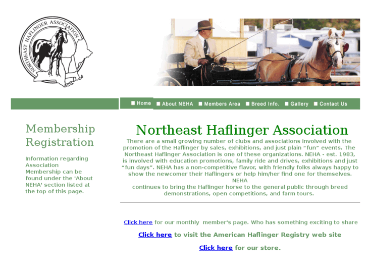 www.northeasthaflinger.com