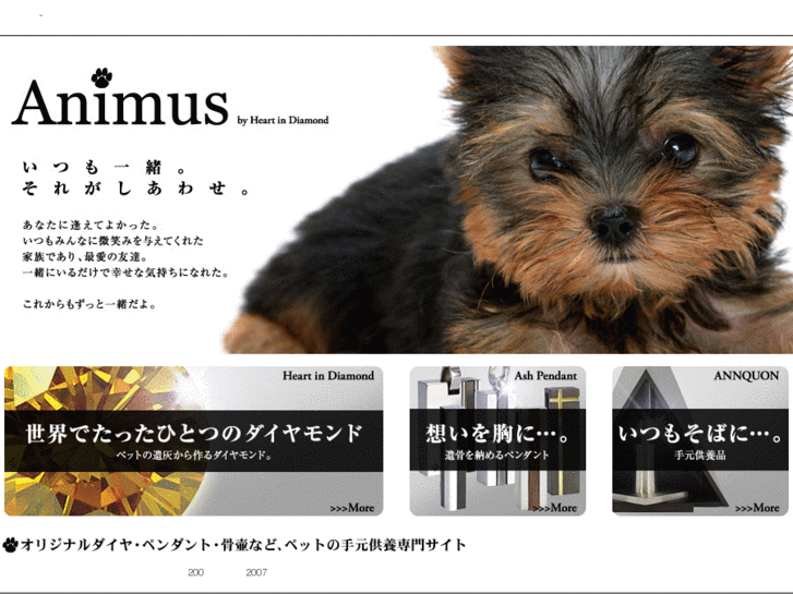 www.animus-co.jp