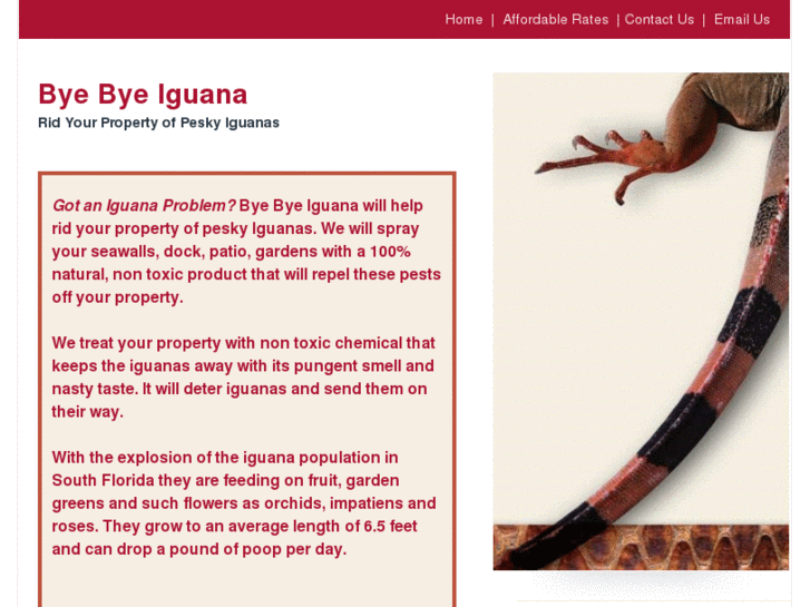 www.byebyeiguana.com