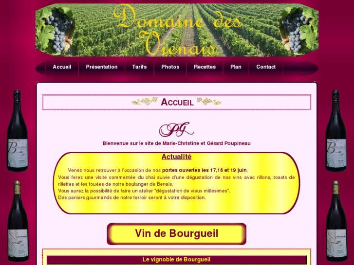 www.domaine-des-vienais.com