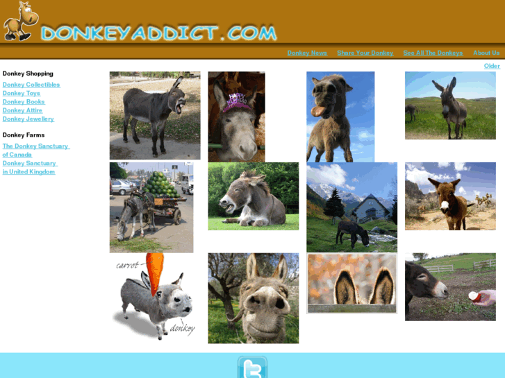 www.donkeyaddict.com