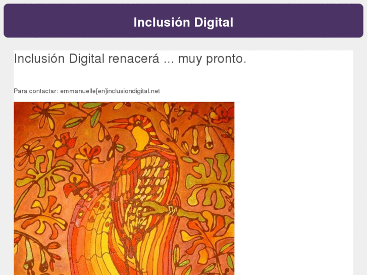 www.inclusiondigital.net