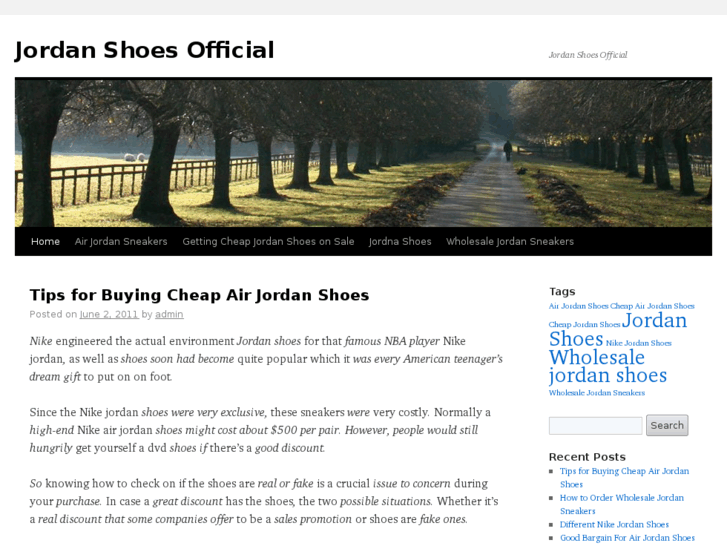 www.jordanshoesofficial.org