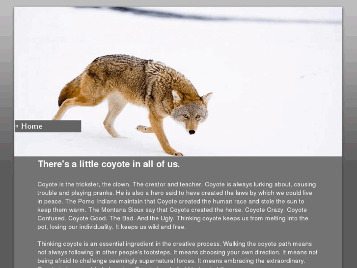 www.4coyotes.com