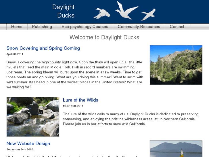 www.daylightducks.com