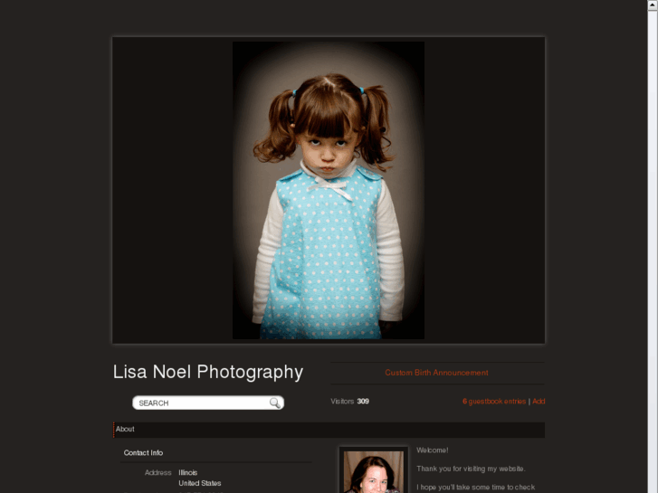 www.lisanoelphotography.com