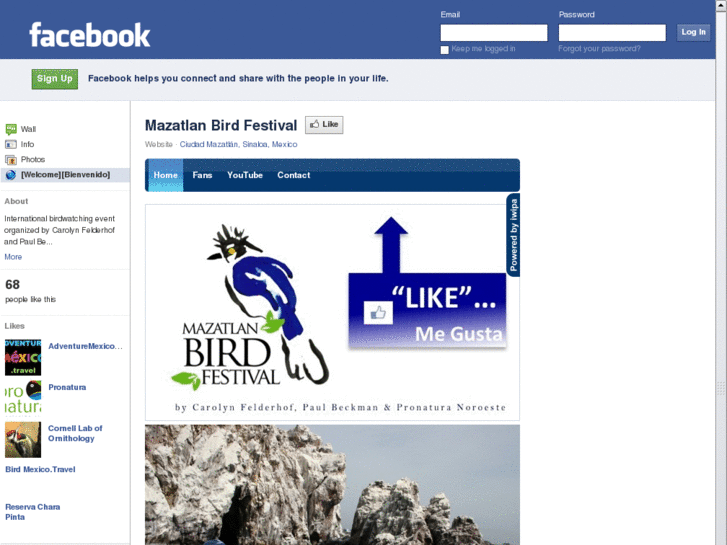 www.mazatlanbirdfestival.com