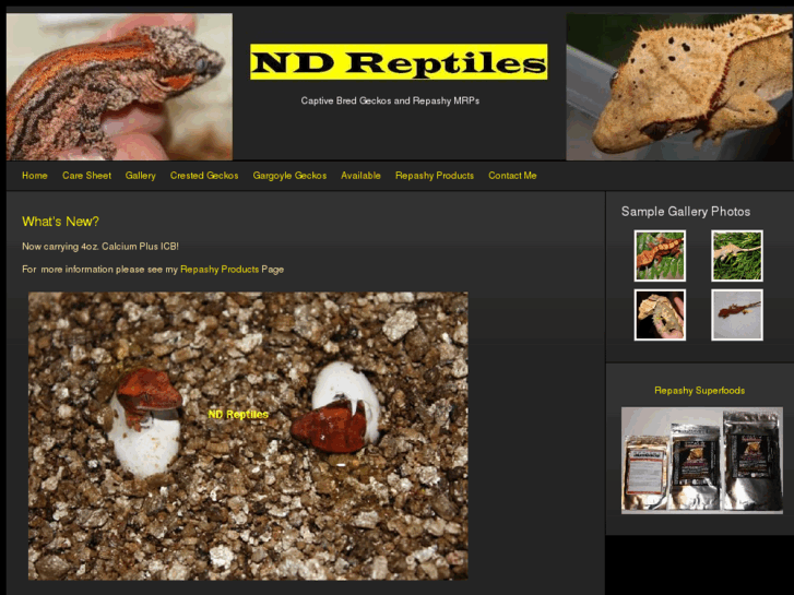 www.ndreptiles.com