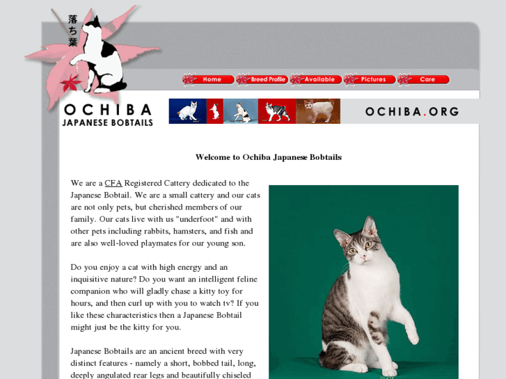 www.ochiba.org