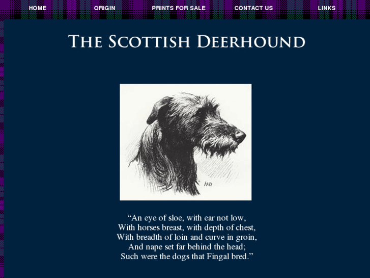 www.thescottishdeerhound.com