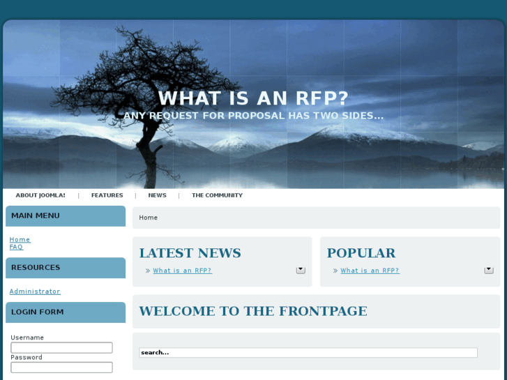 www.whatisanrfp.com