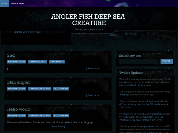 www.angler-fish.com