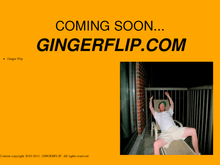 www.gingerflip.com