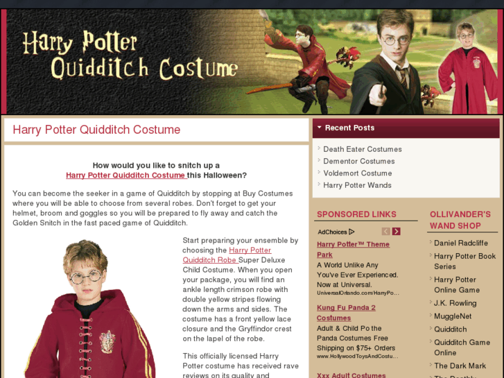 www.harrypotterquidditchcostume.com