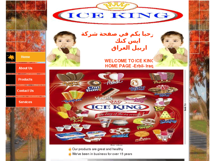 www.icekingltd.com