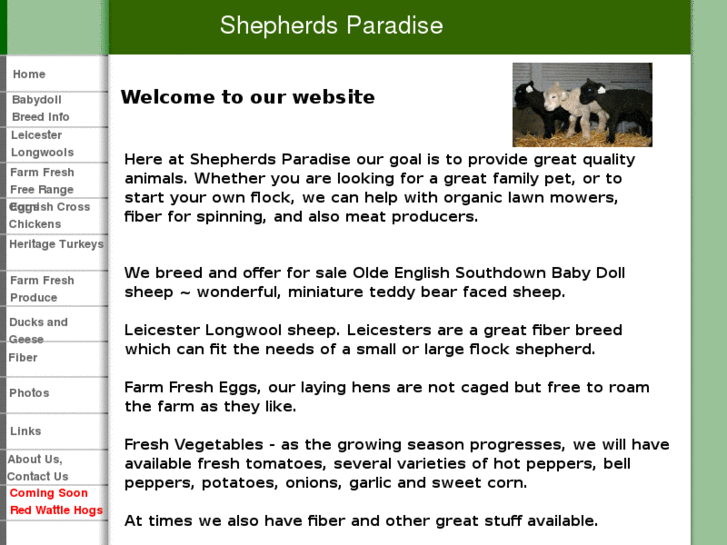 www.shepherdsparadise.com